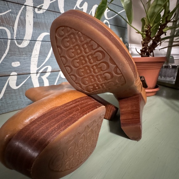 Gianni Bini - Picture 10 of 10